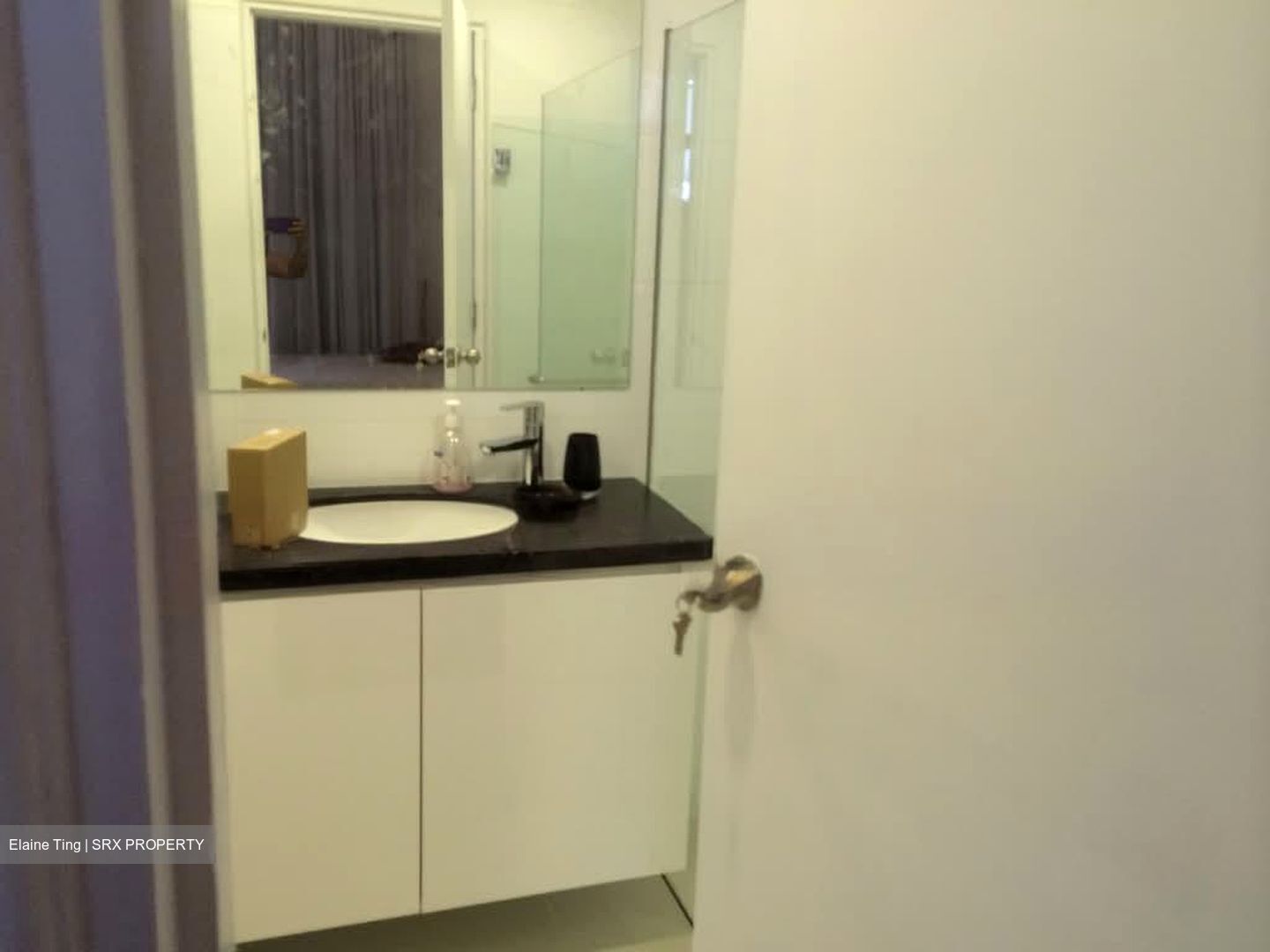 Regency Park (D10), Condominium #584445241